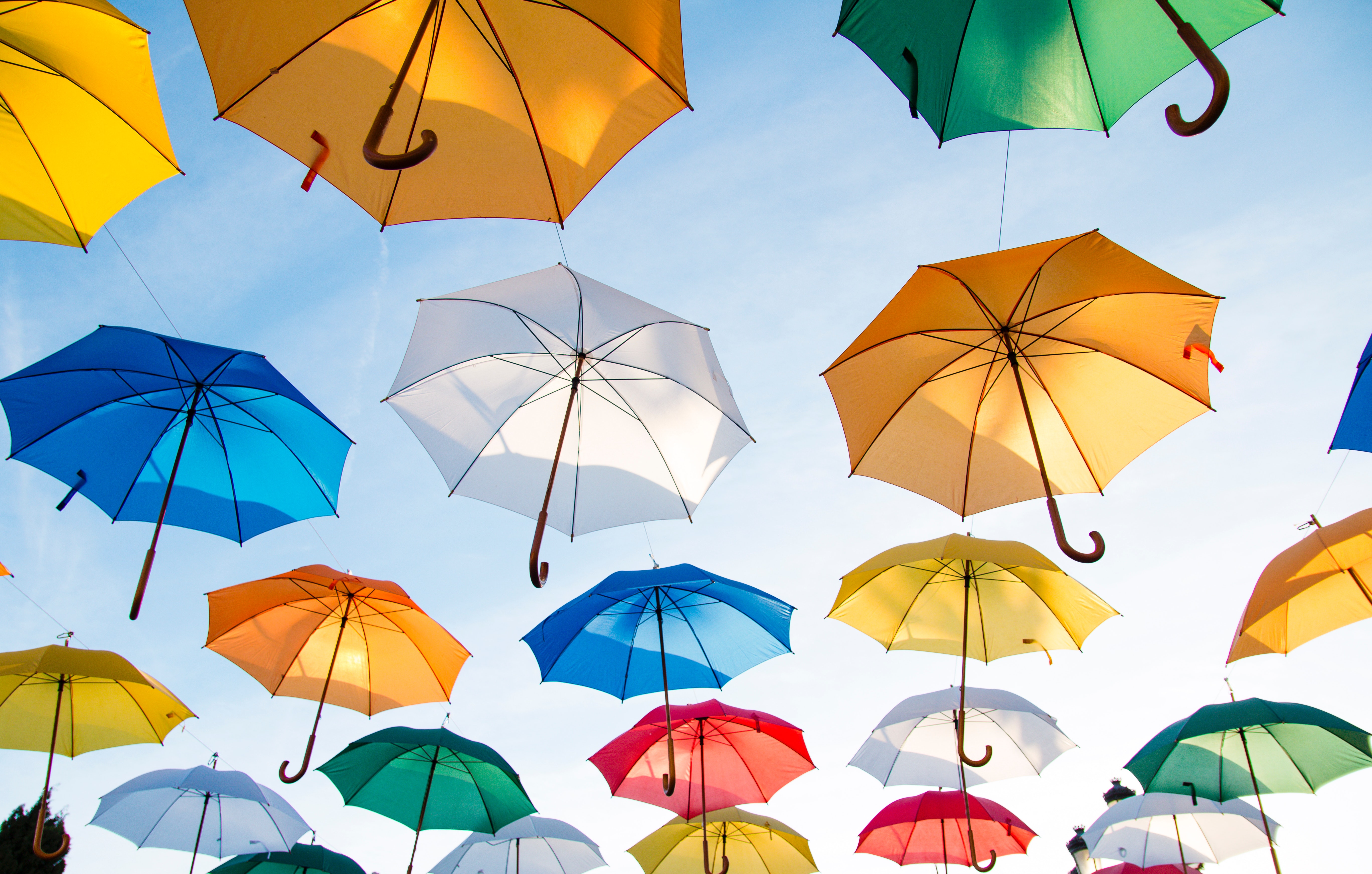 Samen onder paraplu: Oud in Rivierenland - Mura